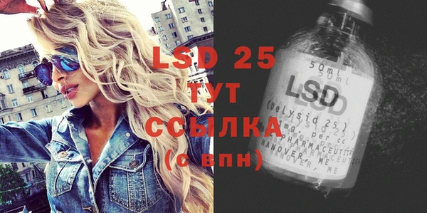 прущие грибы Алексеевка