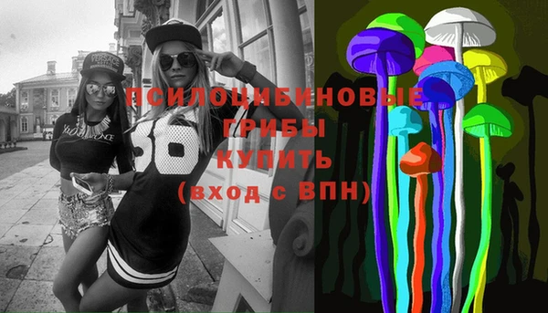 прущие грибы Алексеевка