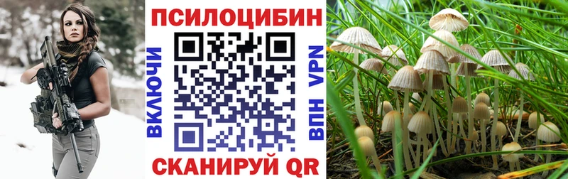 Псилоцибиновые грибы MAGIC MUSHROOMS  Купить закладки  Талица 
